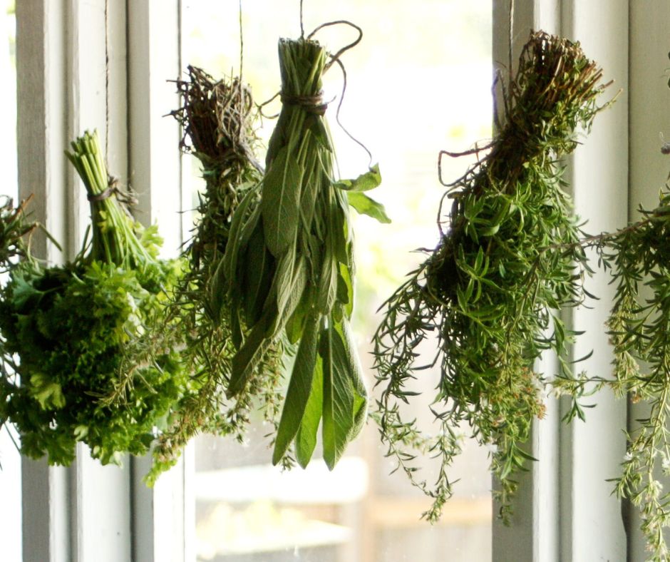 Harvesting Herbs for Winter: How to Dry and Store Fresh Herbs