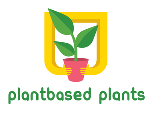 Plantbased Plants